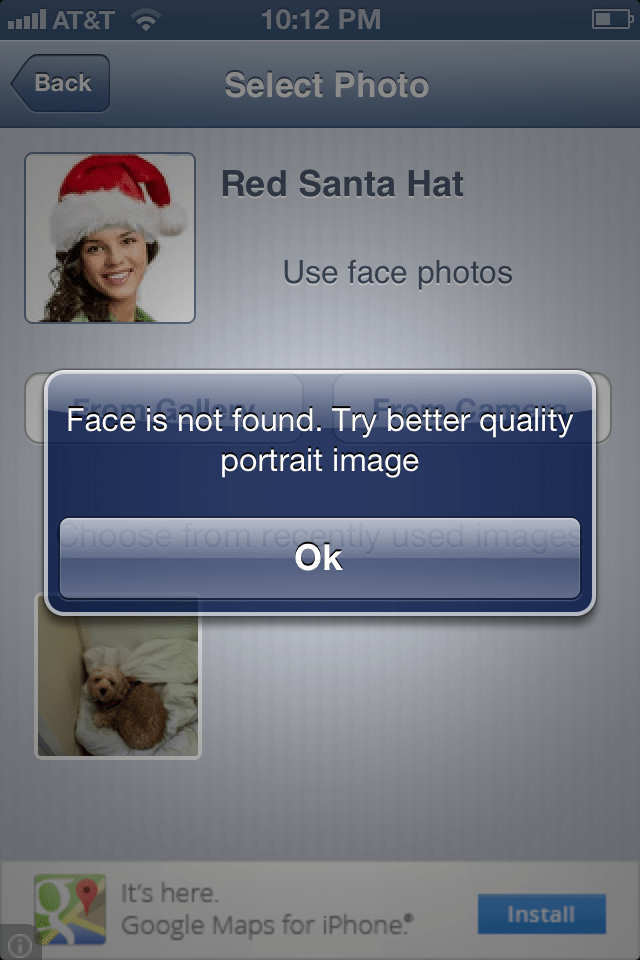 Cute Dog Picture Of The Day:  Red Santa Hat Fail
