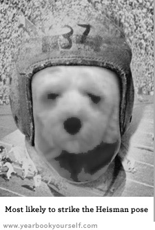 Cute Dog Picture Of The Day:  Star Athlete!  