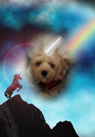 Two Majestic Unicorns and a Rainbow