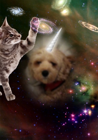 Just a Cat and a Unicorn Playing In the Cosmos
