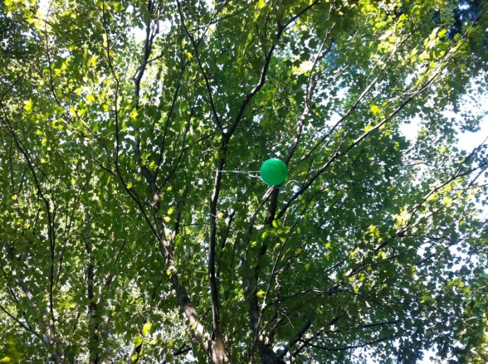 The Worst Case Scenario If You Are A Balloon