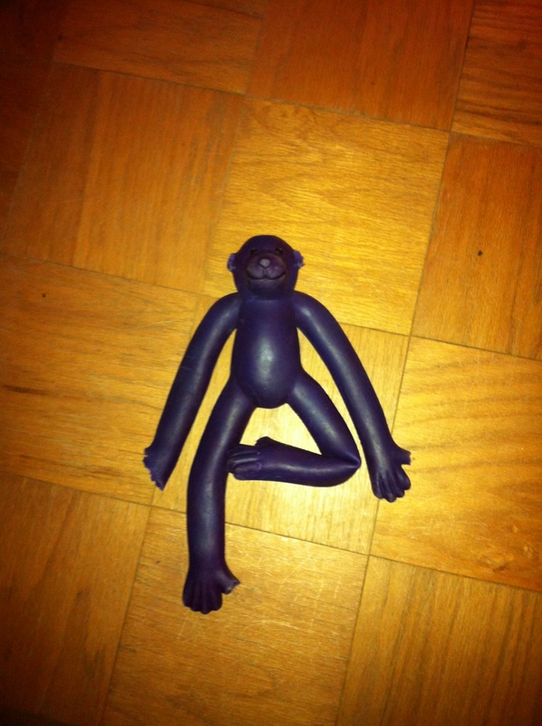 Cute Dog Picture of the Day