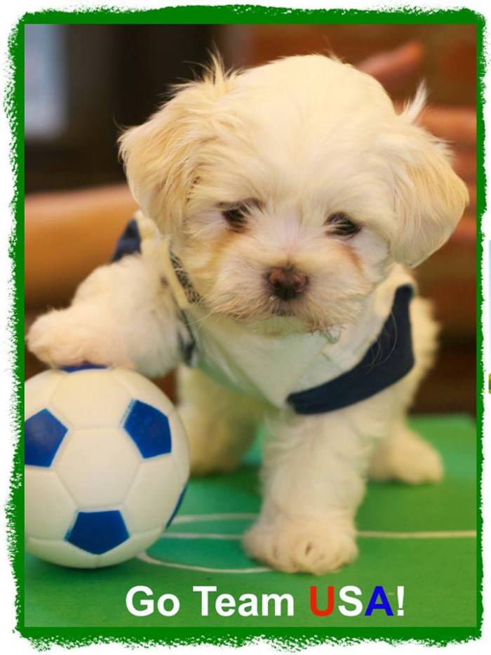 Go Team USA!